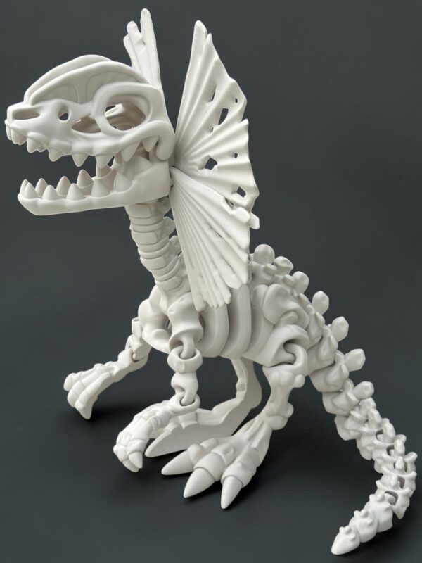3d_tisteny_dilophosaurus_bocni_bone_white 3D tištěný Dilophosaurus XL – designový model dinosaura | Spiny3D