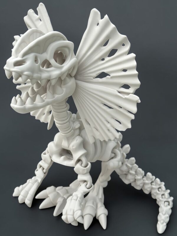 3d_tisteny_dilophosaurus_bocni_detail_bone_white 3D tištěný Dilophosaurus XL – designový model dinosaura | Spiny3D